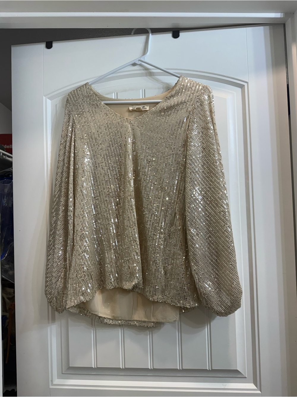 Sequin Scoop Neck Long-Sleeve Top - Champagne